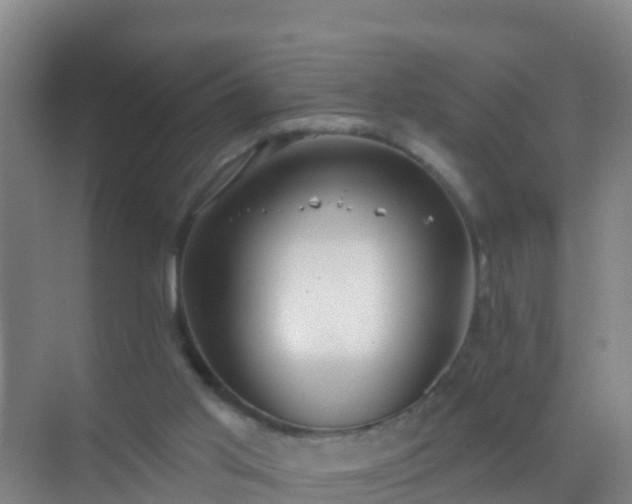 X0000072970013200607282334