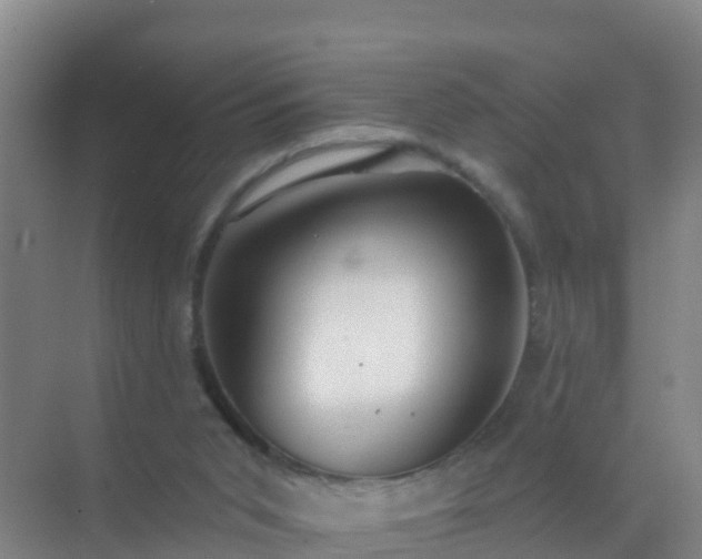 X0000072970015200607282334