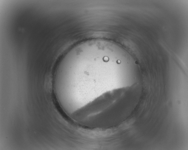 X0000072970016200607282334