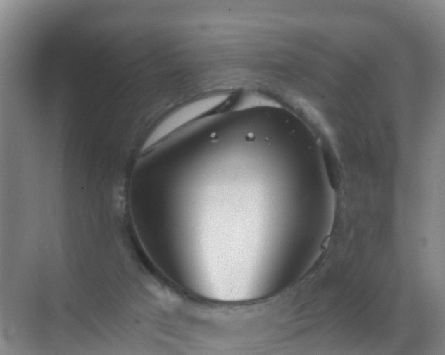 X0000072970017200607282334