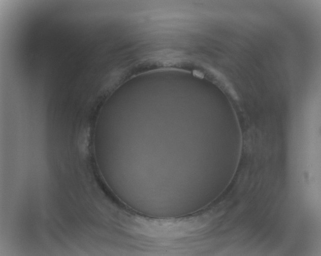 X0000072970018200607282334