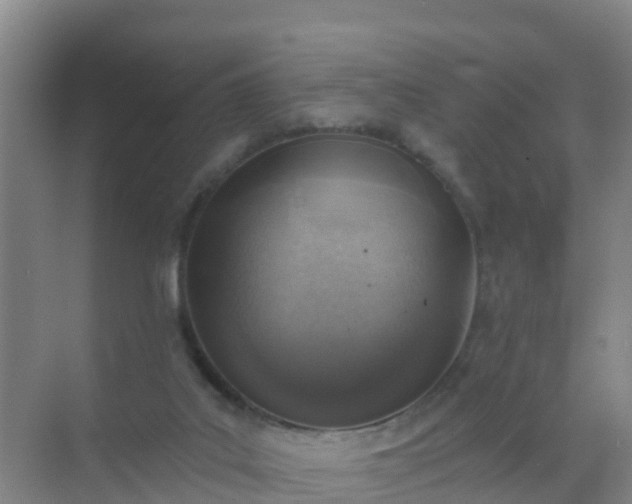 X0000072970019200607282334