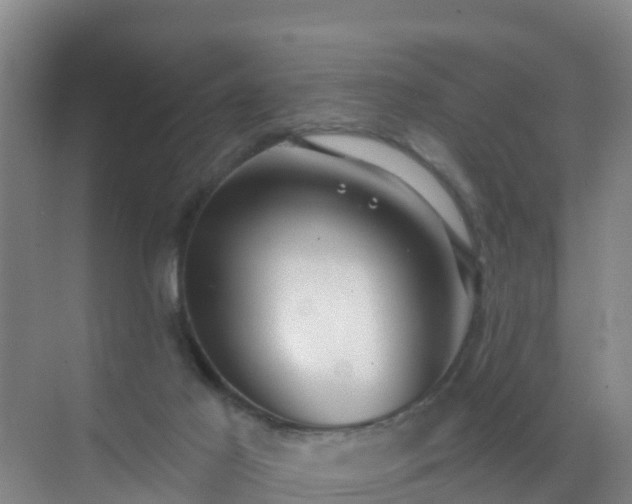 X0000072970021200607282333