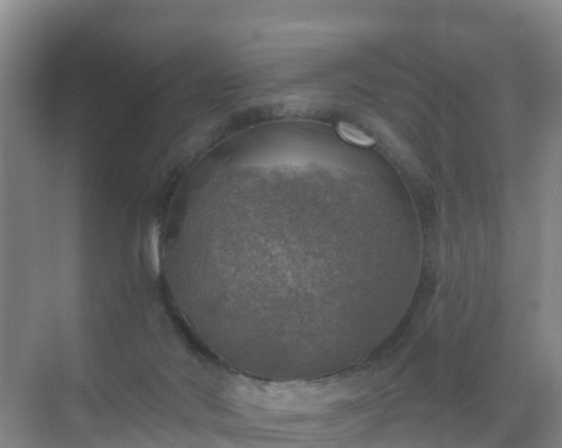 X0000072970022200607282333