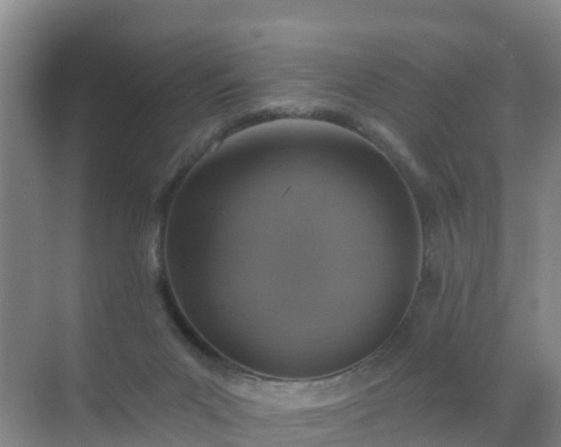 X0000072970023200607282333