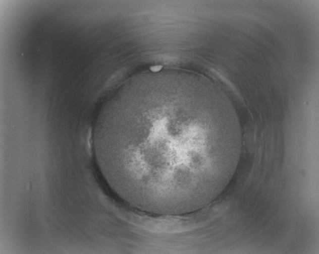 X0000072970024200607282333