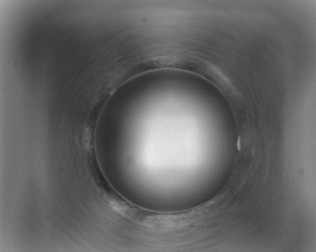 X0000072970025200607282333