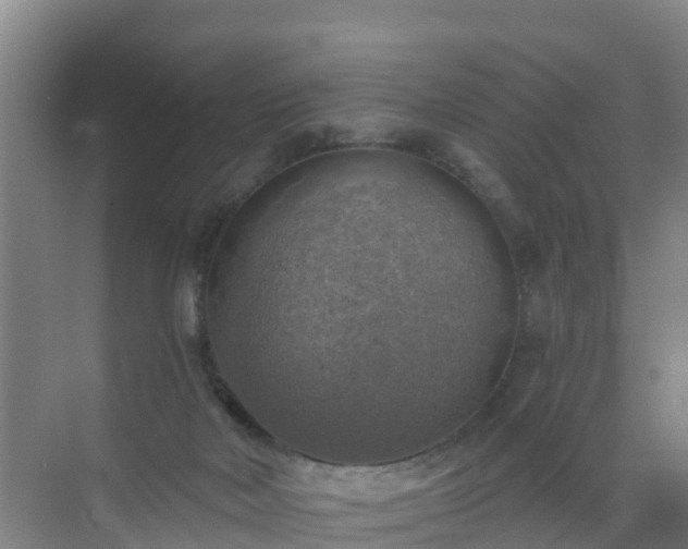 X0000072970026200607282333