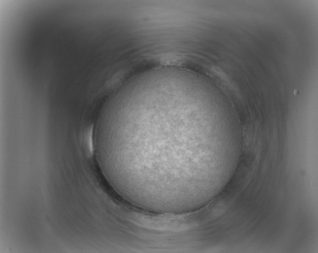 X0000072970028200607282333