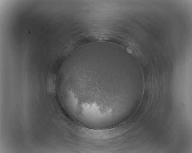 X0000072970030200607282333