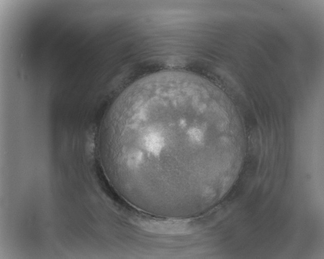 X0000072970032200607282333