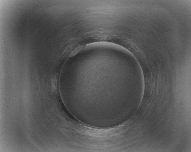 X0000072970035200607282333