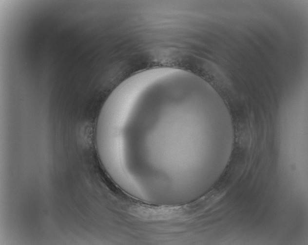 X0000072970036200607282333