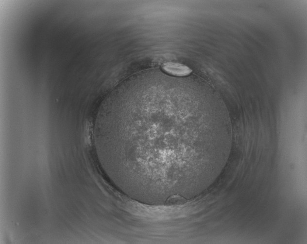 X0000072970038200607282333