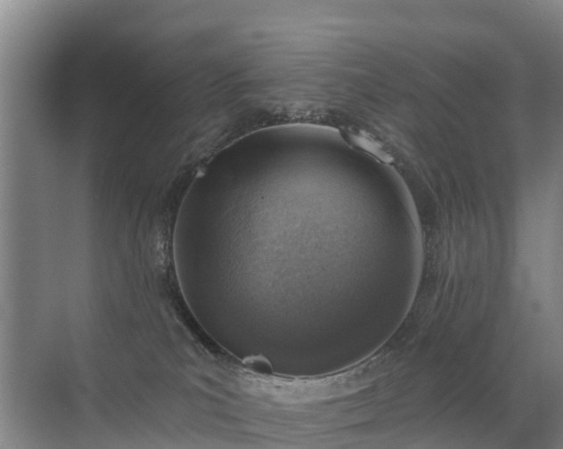 X0000072970039200607282333