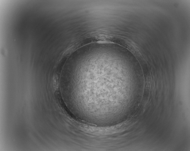 X0000072970043200607282333