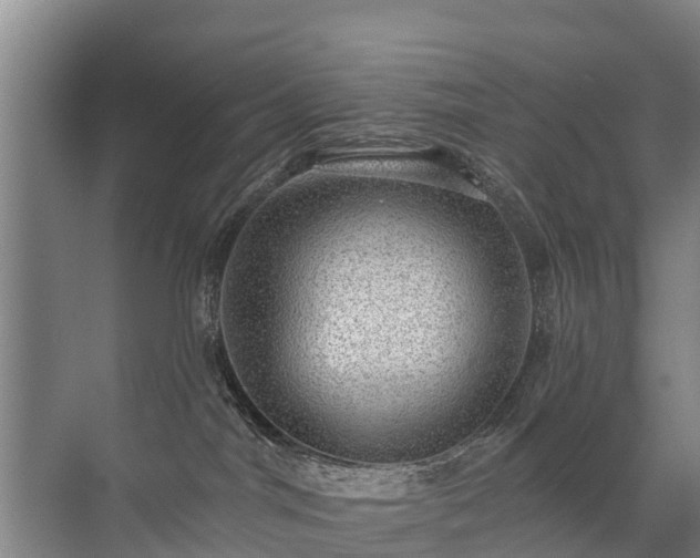 X0000072970044200607282333