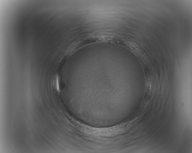 X0000072970046200607282333