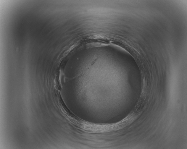 X0000072970048200607282333