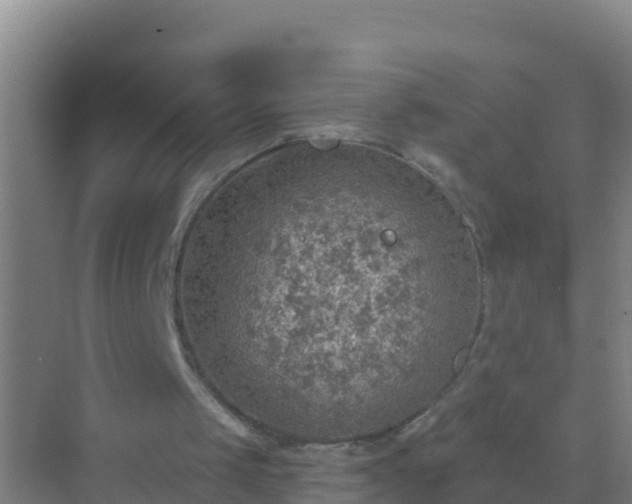 X0000072970049200607282332