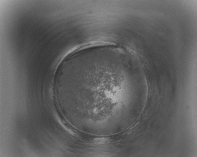 X0000072970050200607282332