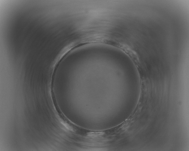 X0000072970051200607282332