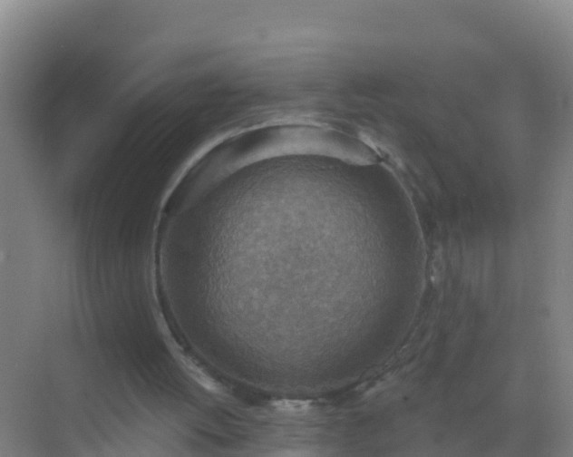 X0000072970052200607282332