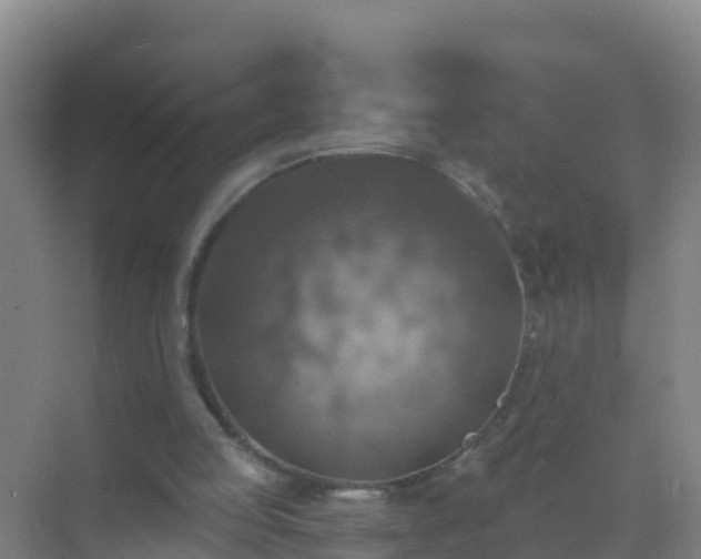 X0000072970053200607282332