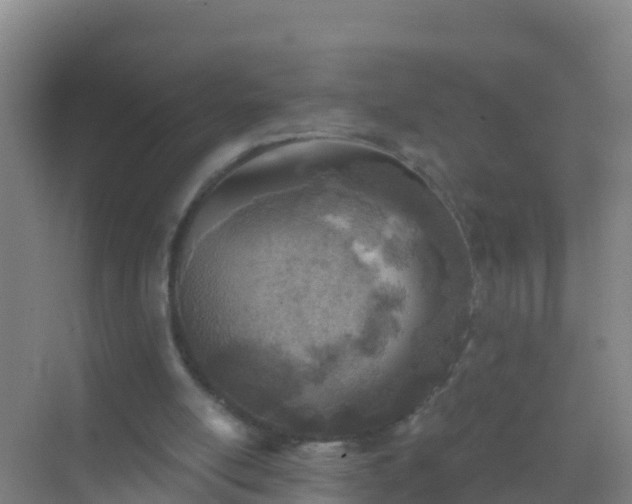 X0000072970054200607282332