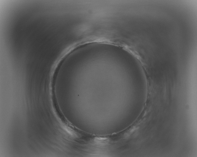 X0000072970055200607282332