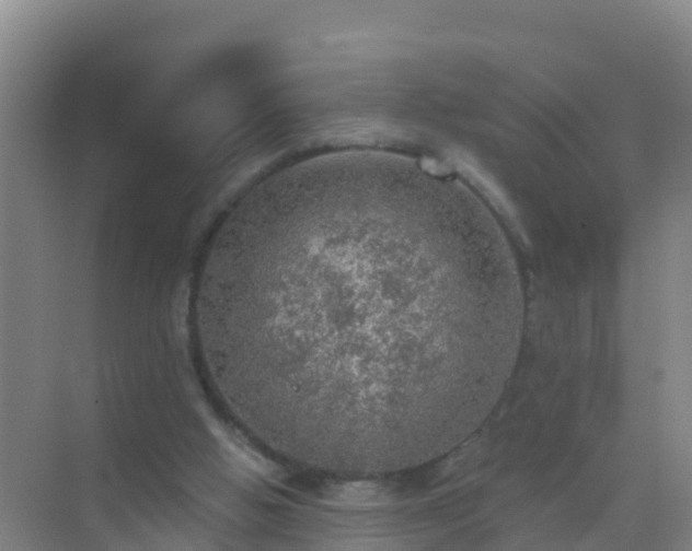 X0000072970058200607282332