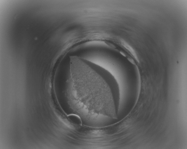 X0000072970059200607282332