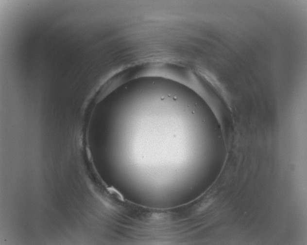 X0000072970060200607282332