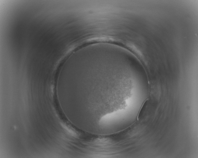 X0000072970063200607282332