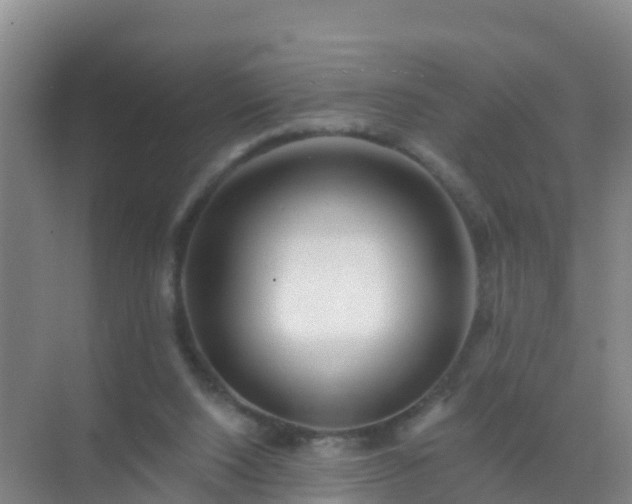 X0000072970064200607282332