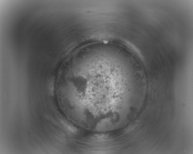 X0000072970065200607282332