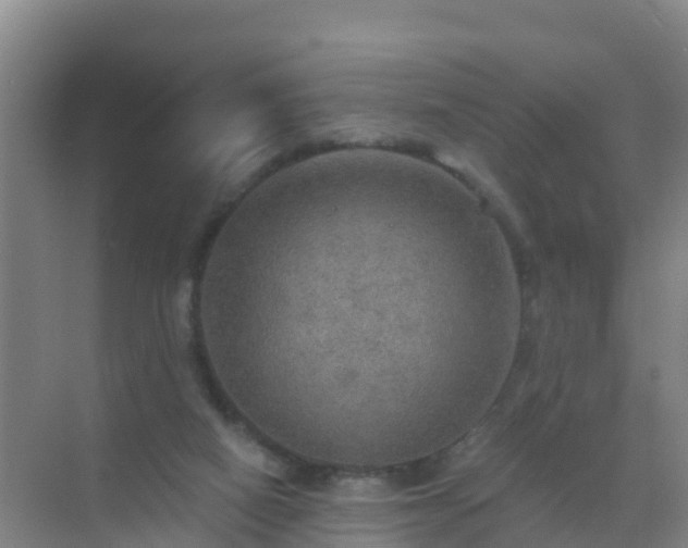 X0000072970066200607282333