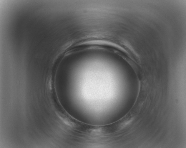 X0000072970068200607282333