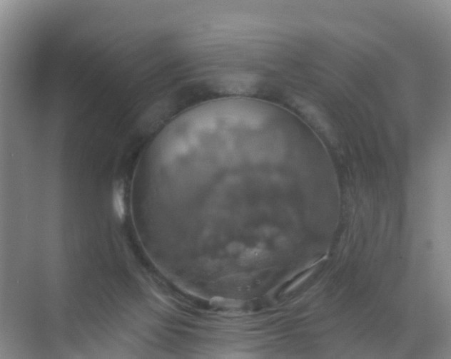 X0000072970069200607282333