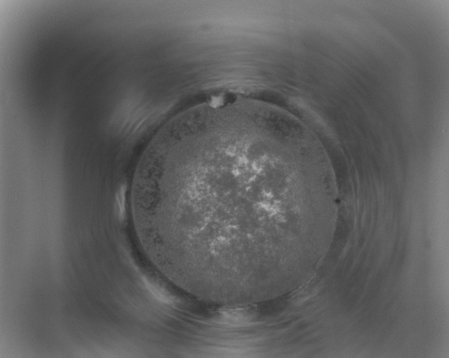 X0000072970070200607282333