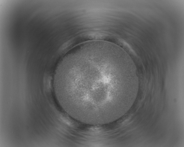 X0000072970071200607282333