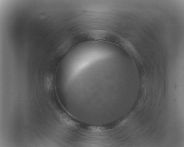 X0000072970073200607282333