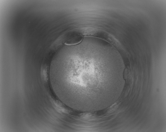 X0000072970074200607282333