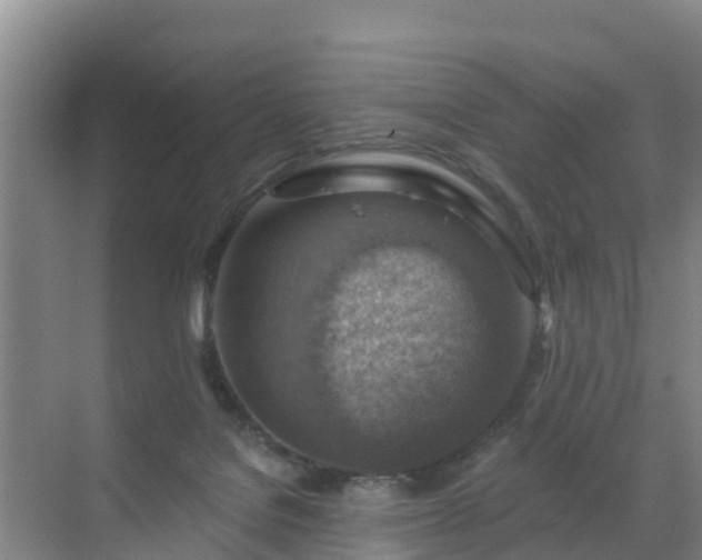 X0000072970076200607282333