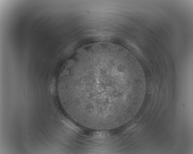 X0000072970077200607282333