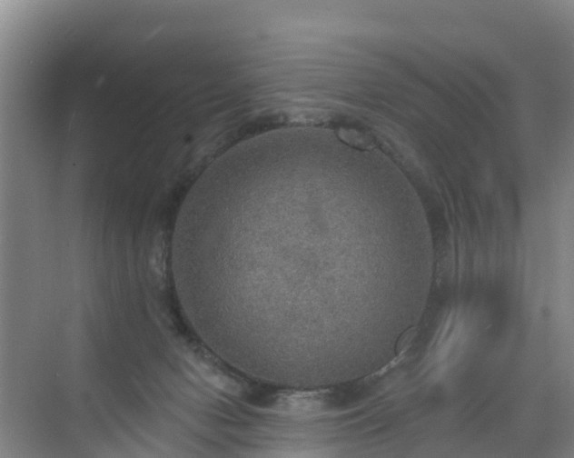 X0000072970078200607282333