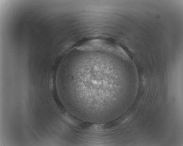 X0000072970080200607282333