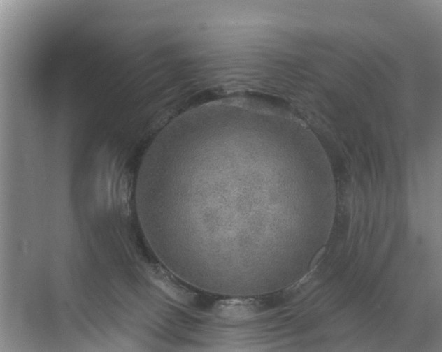 X0000072970082200607282333