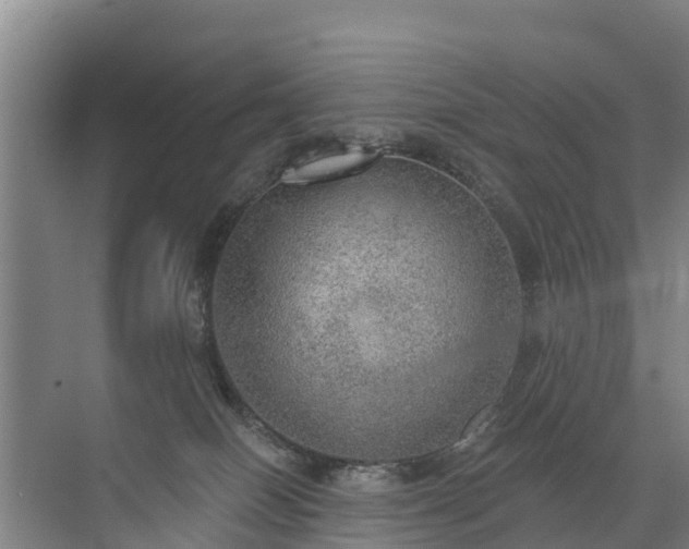 X0000072970086200607282333