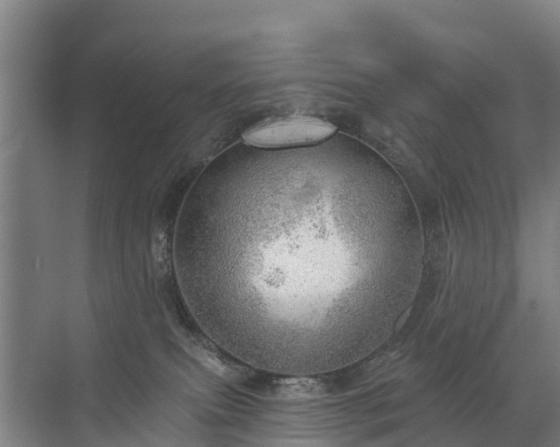 X0000072970087200607282333